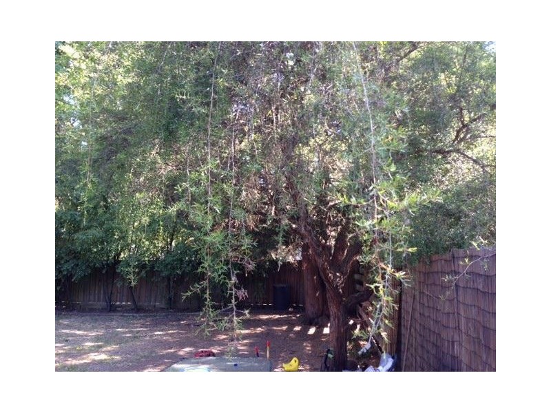 24/83A Lincoln Road, Croydon VIC 3136