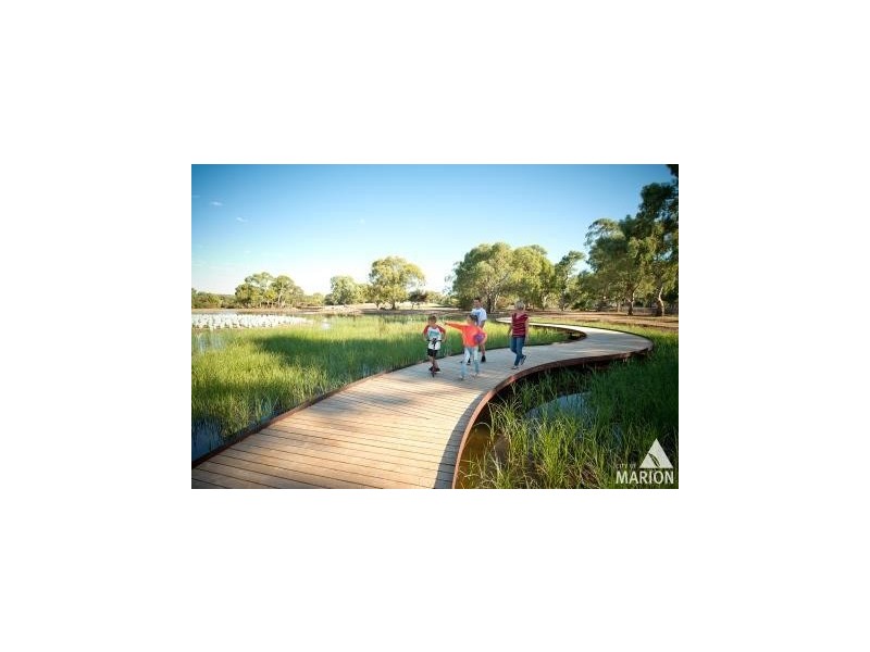 23 Coolah Terrace, Marion SA 5043