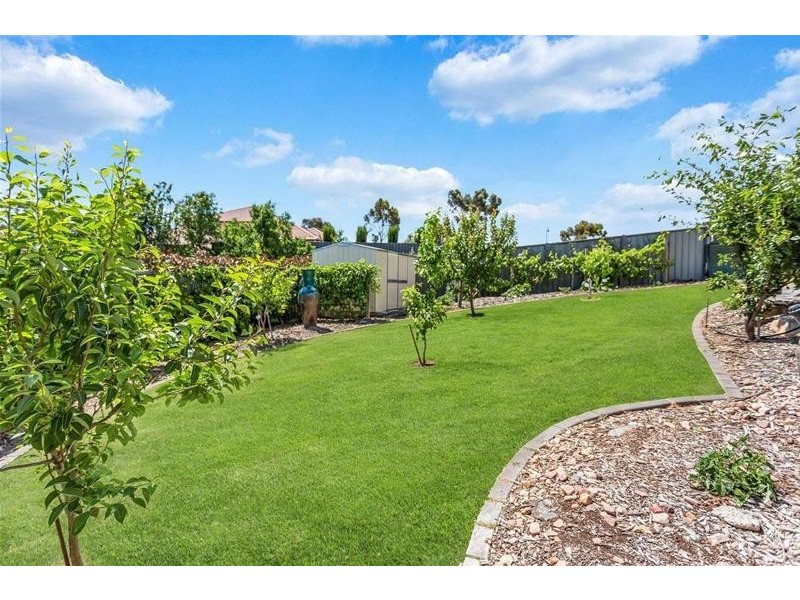 35 Coulter Street, Flagstaff Hill SA 5159