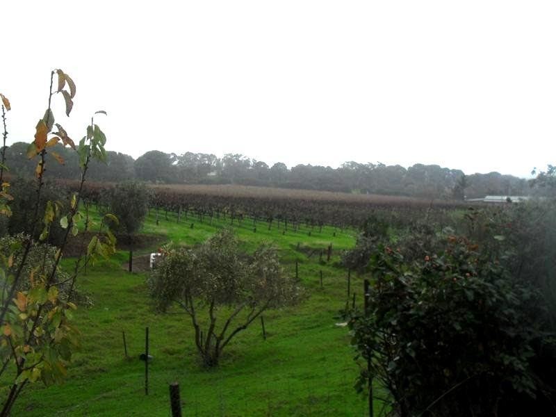 54 Edwards Road, Willunga SA 5172