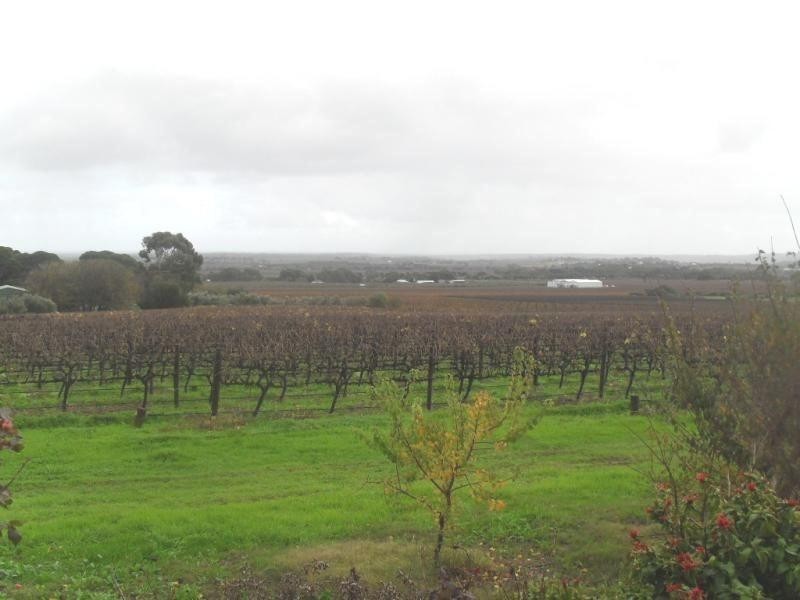 54 Edwards Road, Willunga SA 5172