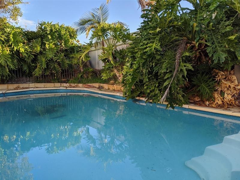 20 Kearnes Road, Oaklands Park SA 5046