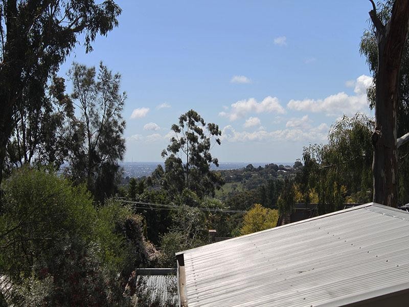 61 Black Road, Flagstaff Hill SA 5159