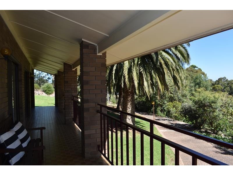 11 Bellevue Drive, Bellevue Heights SA 5050