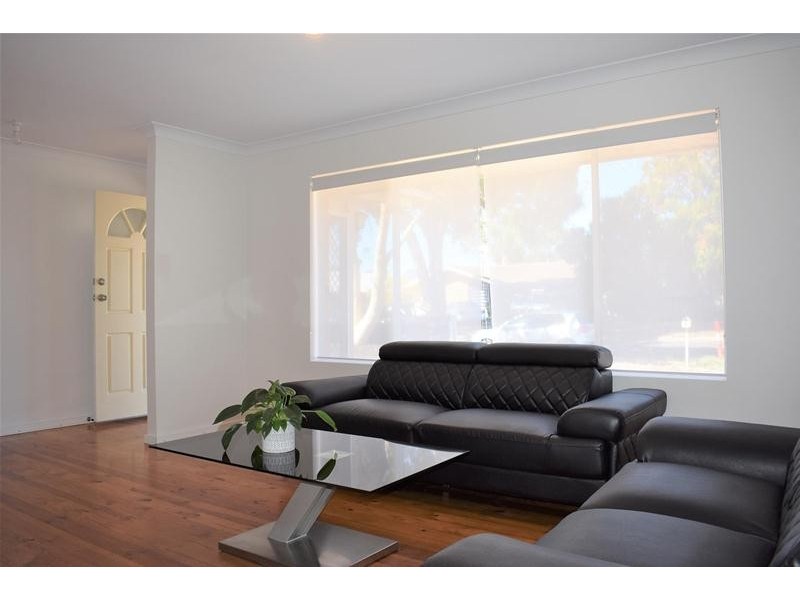 17 Freeman Avenue, Morphett Vale SA 5162