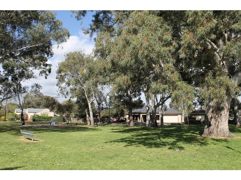 23 Coolah Terrace, Marion SA 5043