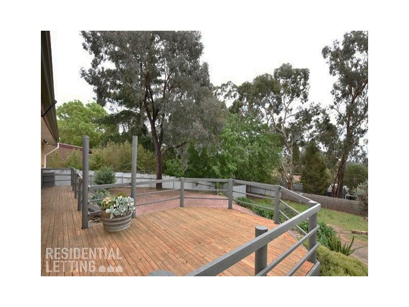 61 Black Road, Flagstaff Hill SA 5159