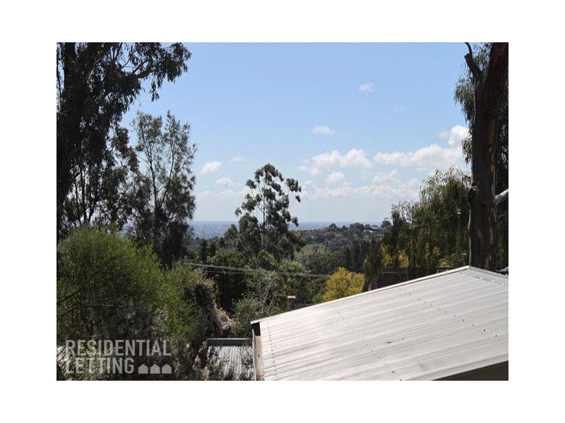 61 Black Road, Flagstaff Hill SA 5159