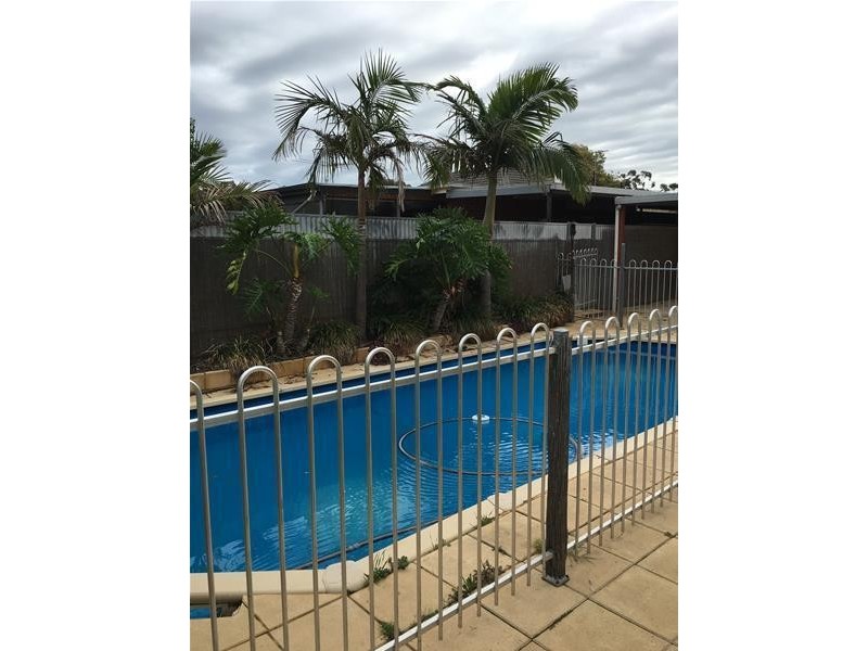 20 Kearnes Road, Oaklands Park SA 5046