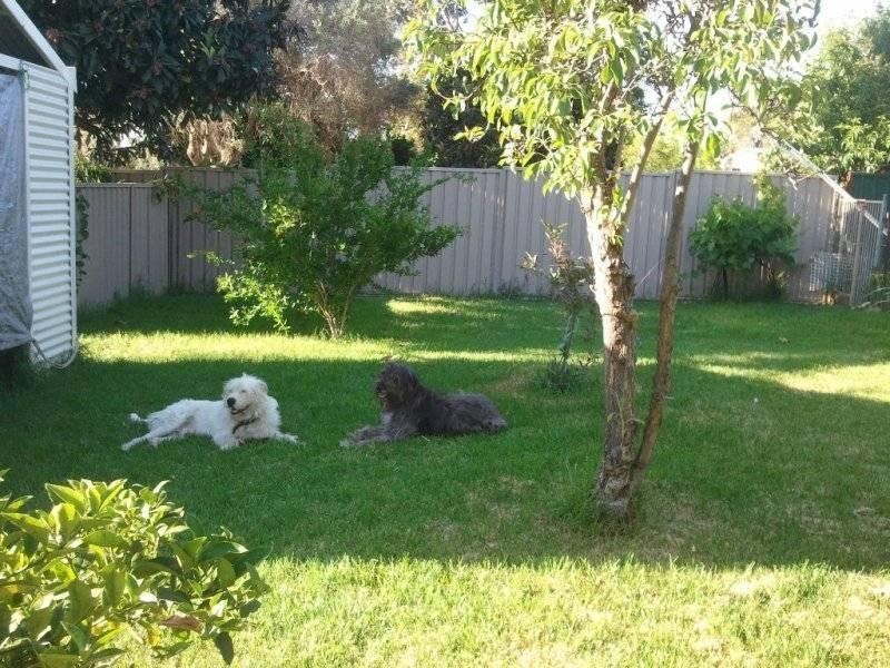 90 Fouracre Street, Waroona WA 6215