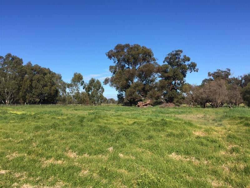 Lot 161 James Eden Drive, West Pinjarra WA 6208