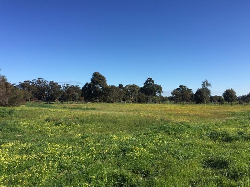 Lot 161 James Eden Drive, West Pinjarra WA 6208
