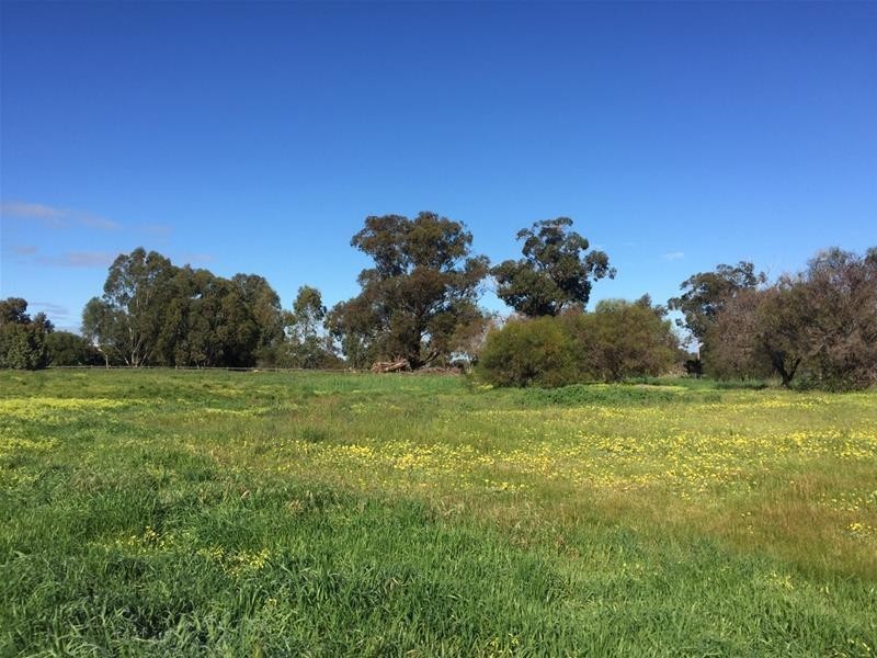 Lot 161 James Eden Drive, West Pinjarra WA 6208