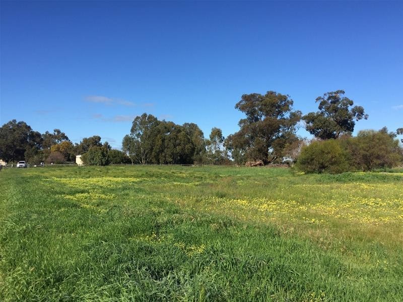 Lot 161 James Eden Drive, West Pinjarra WA 6208