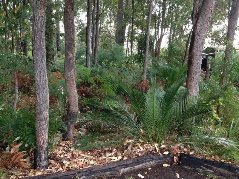 18 Begonia Court, Dwellingup WA 6213