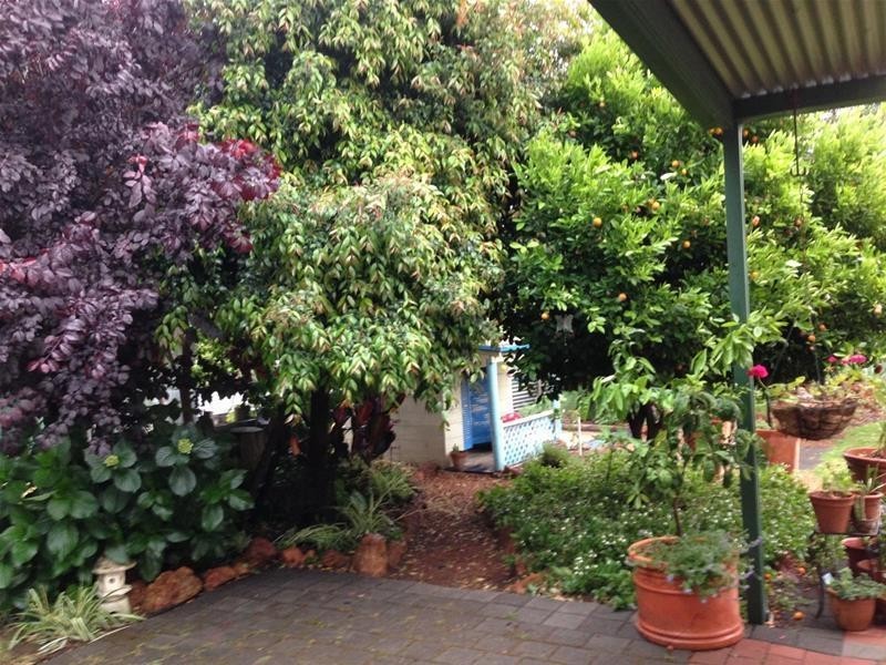 18 Begonia Court, Dwellingup WA 6213