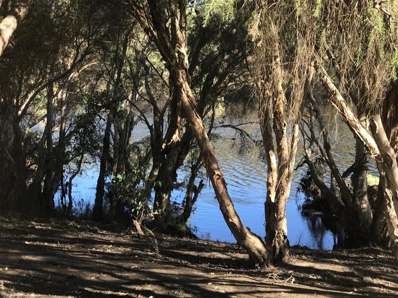 Lot 60 Pollard Street, Boddington WA 6390