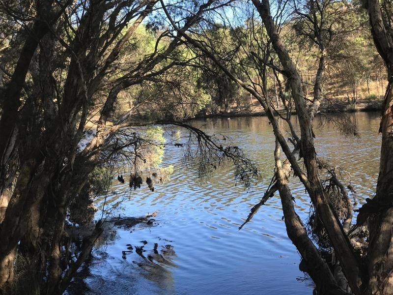 Lot 60 Pollard Street, Boddington WA 6390