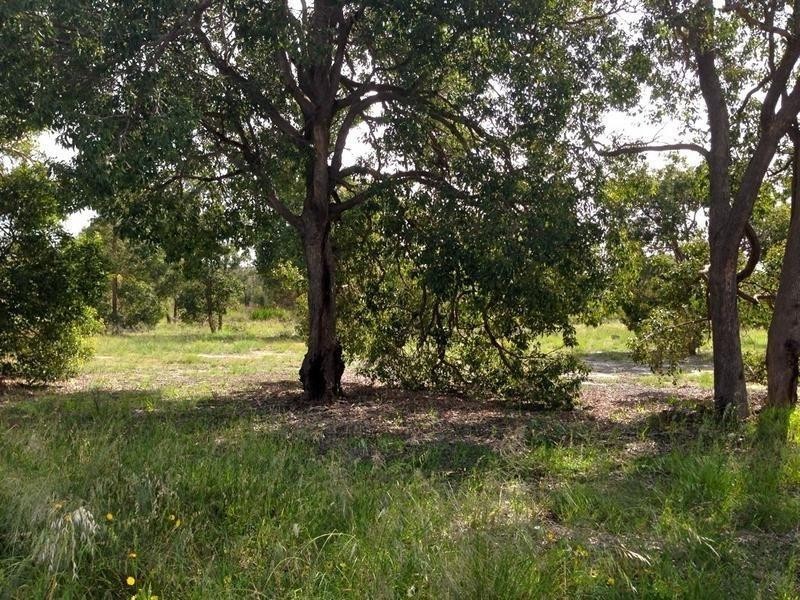 Lot 109 South West Highway, Waroona WA 6215