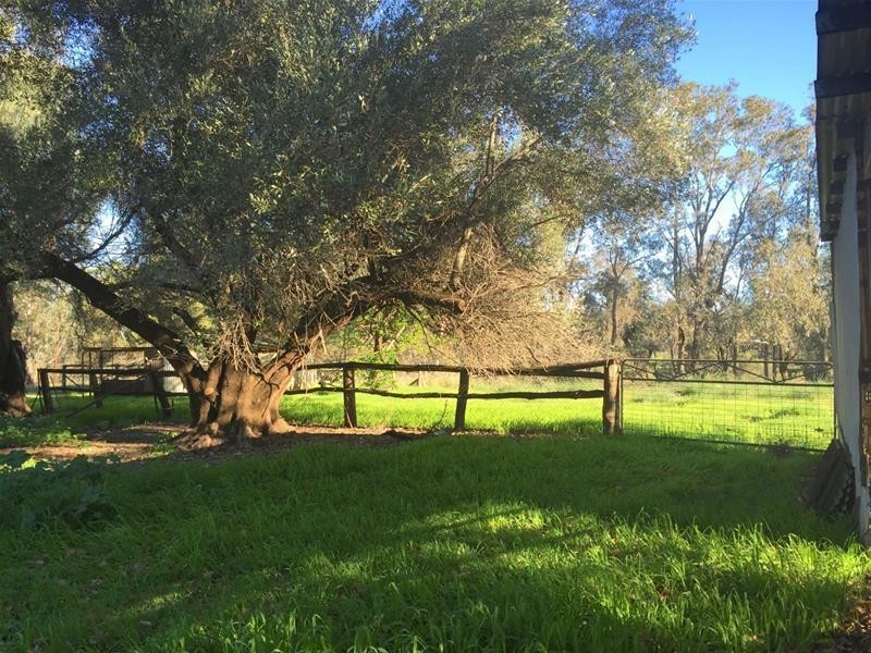 223 Paterson Road, Pinjarra WA 6208