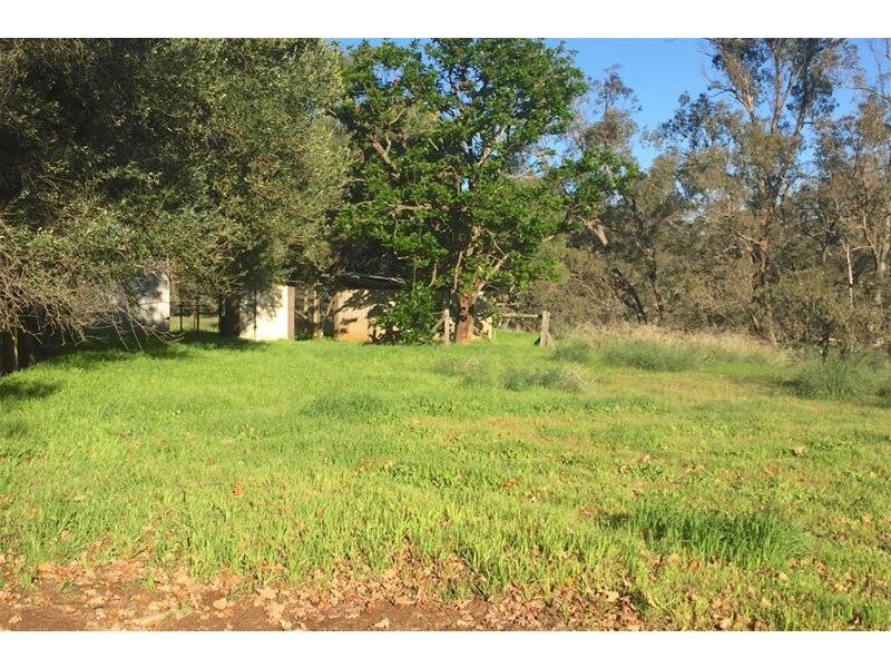 223 Paterson Road, Pinjarra WA 6208