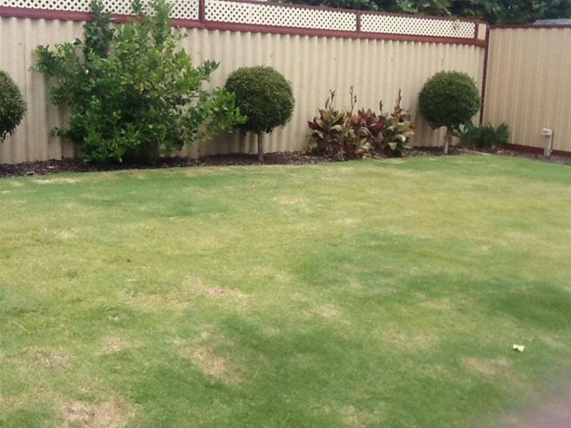 6 Peter Street, Pinjarra WA 6208