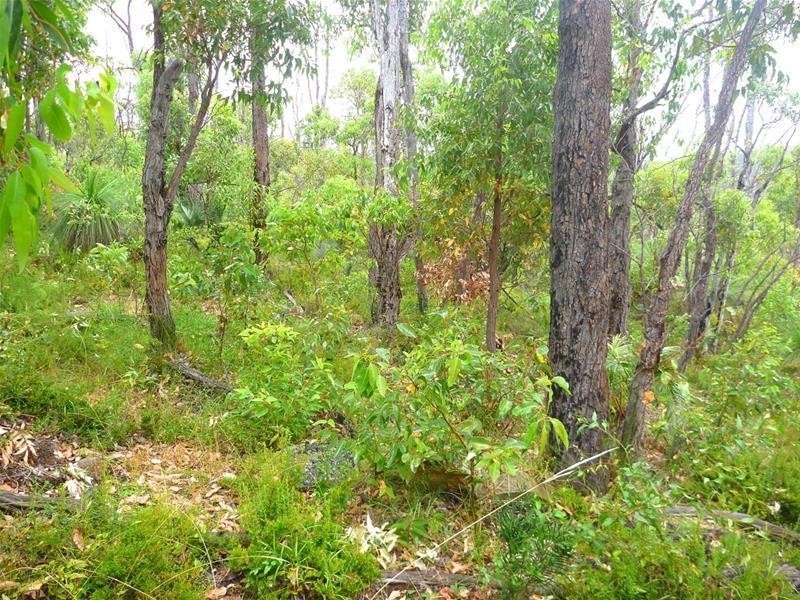 804 Brook Lookout, North Dandalup WA 6207