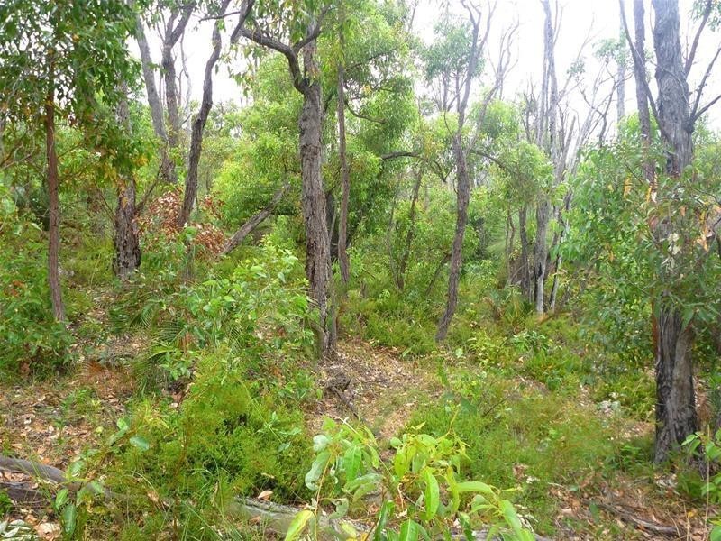 804 Brook Lookout, North Dandalup WA 6207