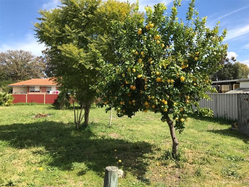 10 Warr Street, Pinjarra WA 6208