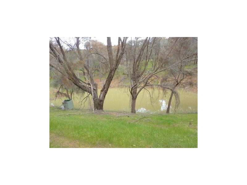 72 Greys Road, Boddington WA 6390