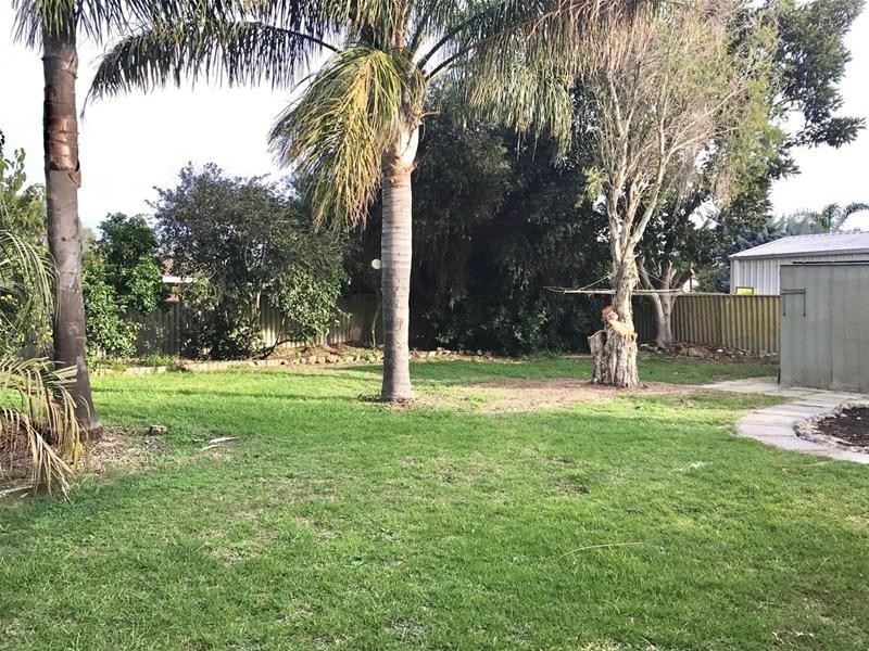 31 Pinjarra-Williams Road, Pinjarra WA 6208