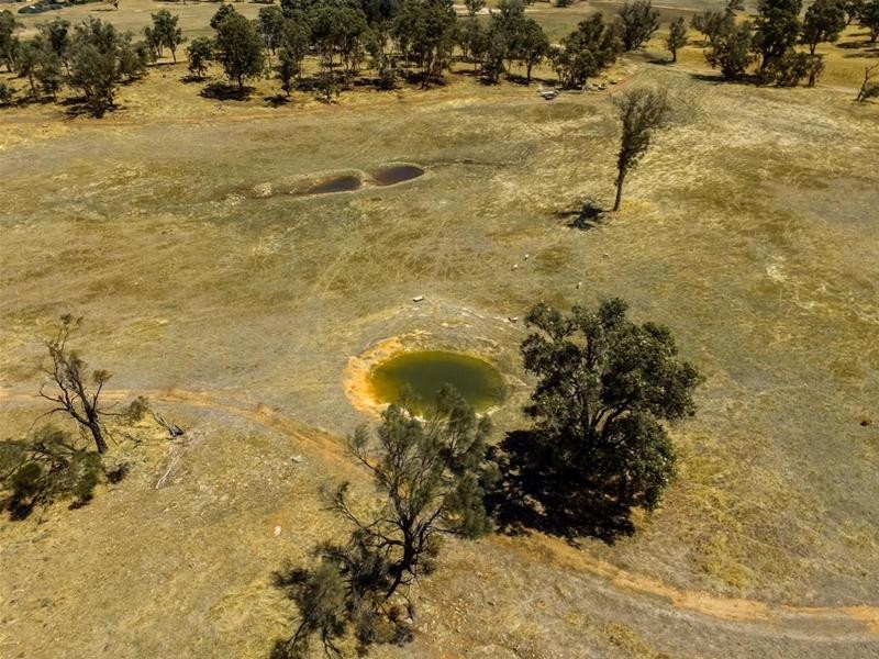 111 Kalimna Way, Boddington WA 6390