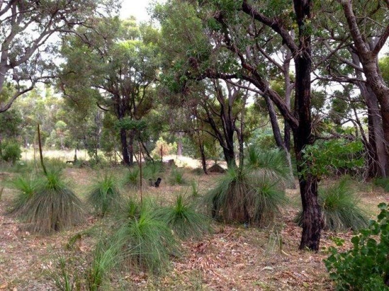 58 Lyons Road, Waroona WA 6215