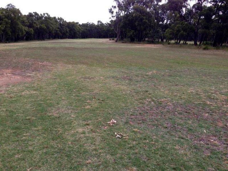 58 Lyons Road, Waroona WA 6215