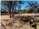45 Blue Gum Way, South Yunderup WA 6208