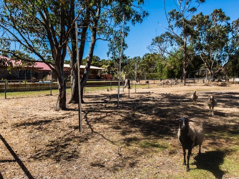 45 Blue Gum Way, South Yunderup WA 6208