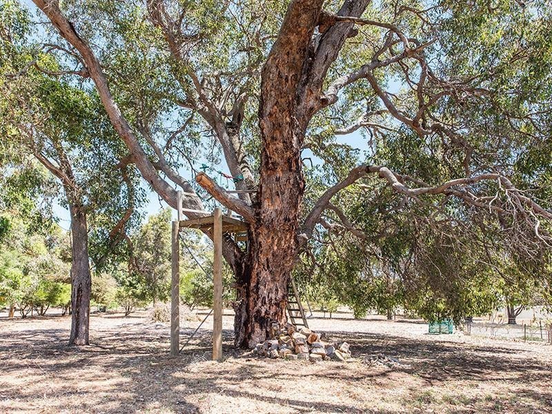 231 Birch Drive, Birchmont WA 6214