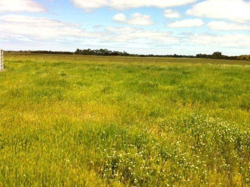 245 Reigerts Road, Yarloop WA 6218