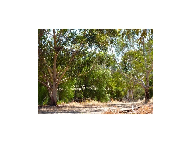 9 King Street, Boddington WA 6390