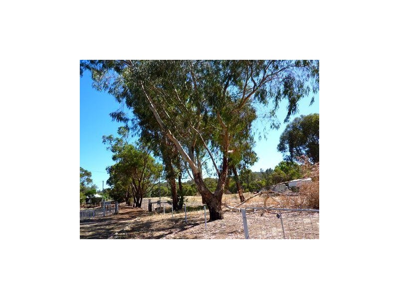 9 King Street, Boddington WA 6390