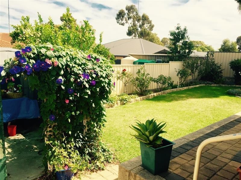 91 Hill Street, Waroona WA 6215