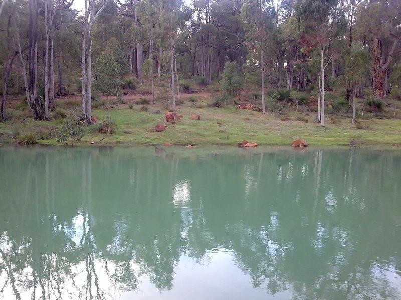 672 Tallathalla Road, Waroona WA 6215