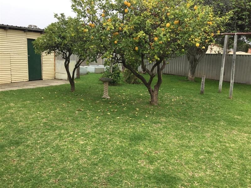 34 Murray Street, Pinjarra WA 6208