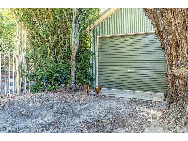 9 Congdon Avenue, Pinjarra WA 6208