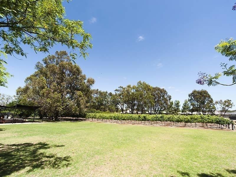 41 Wilson Road, Pinjarra WA 6208