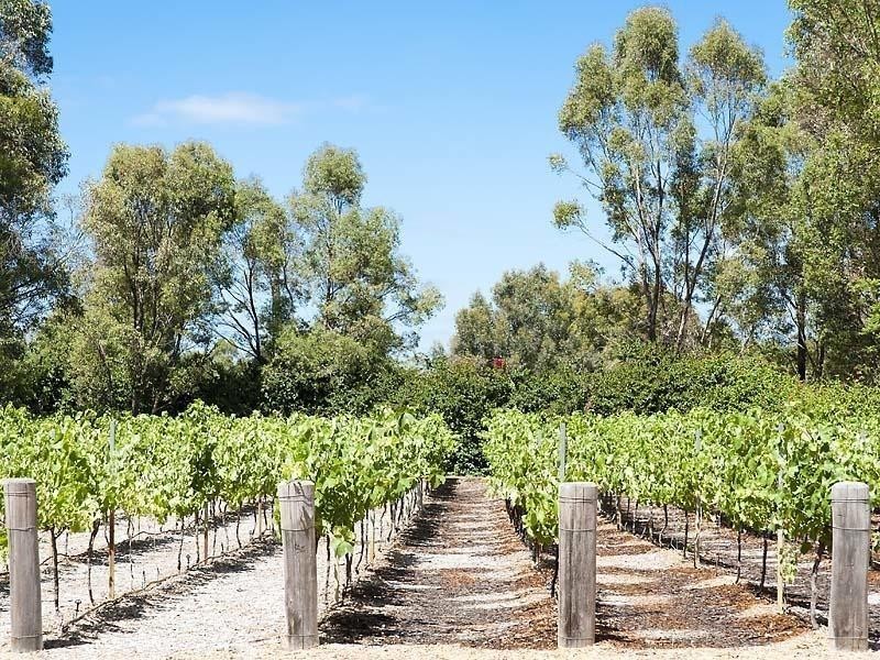 41 Wilson Road, Pinjarra WA 6208