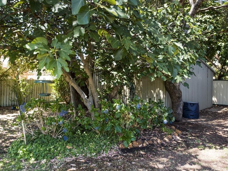 163 Culeenup Road, North Yunderup WA 6208