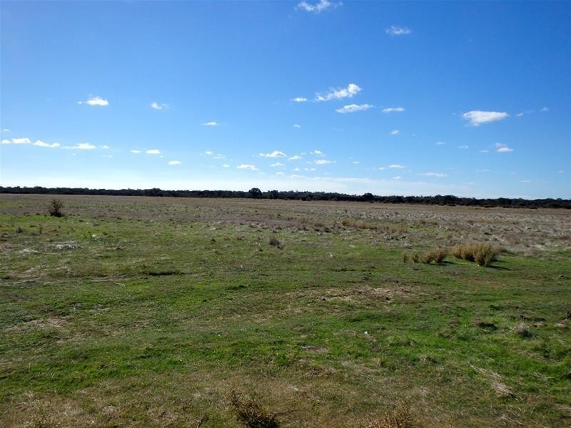 111 Daudson Road, Nirimba WA 6208