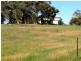 17 Kalimna Way, Boddington WA 6390