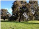 17 Kalimna Way, Boddington WA 6390